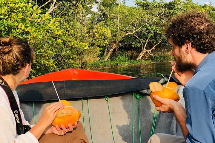 Bentota River Safari: Private Mangrove Cruise to See Crocodiles, Monkeys & Birds photo 3