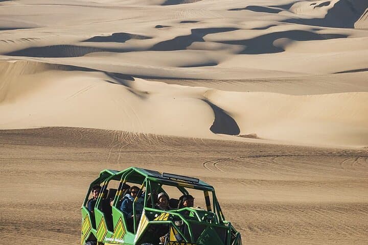 Ballestas Islands & Huacachina Day Trip: Boat Wildlife, Pisco Tasting & Dune Buggies from Lima photo 6