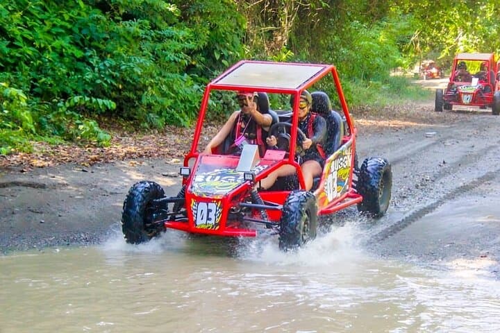 Puerto Plata Monkey Jungle and ATV Dune Buggy Adventure photo 6