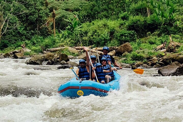 Ayung River White-Water Rafting & Ubud Highlights — Full-Day Tour with Transfers photo 2