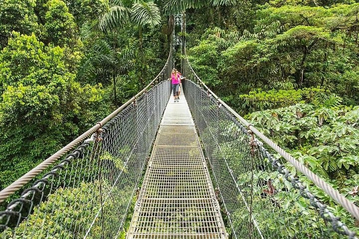 Arenal Volcano & Mistico Hanging Bridges Park: La Fortuna Full-Day Hike photo 3