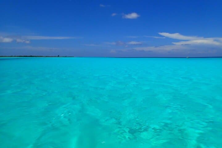 Cozumel El Cielo Snorkel Adventure from Playa del Carmen — Palancar & Columbia Reefs photo 5