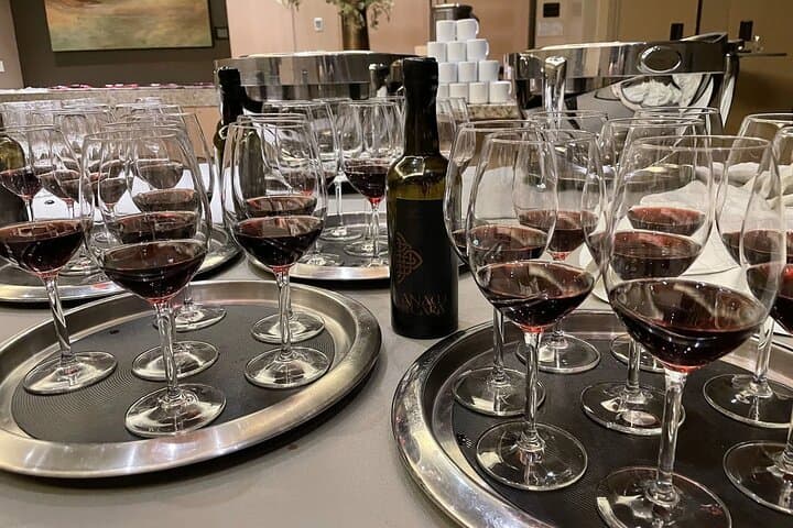 Sommelier-Led Sonoma & Napa Wine Country Tour in an Electric VW Van photo 3