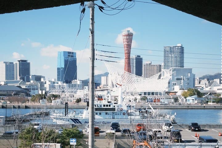 Kobe in a Day: Rokko Views, Atoa Aquarium & Kitano Mansions photo 3