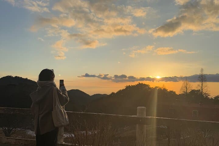 Kobe in a Day: Rokko Views, Atoa Aquarium & Kitano Mansions photo 5