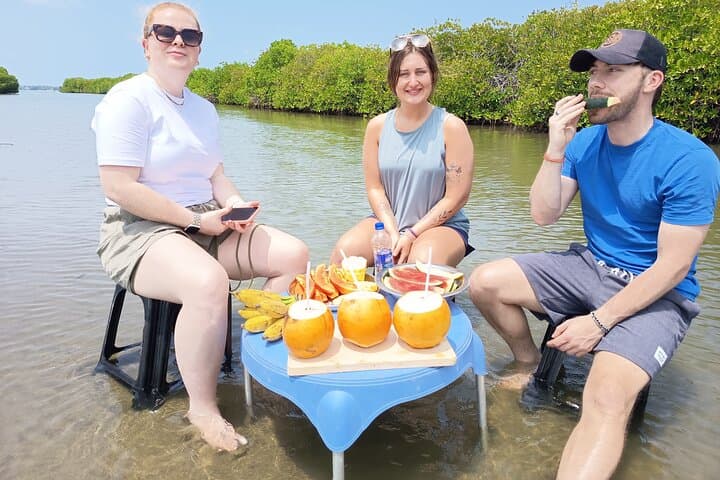 Negombo Lagoon Safari: Mangrove Boat Tour, Monkeys & Birdwatching photo 4