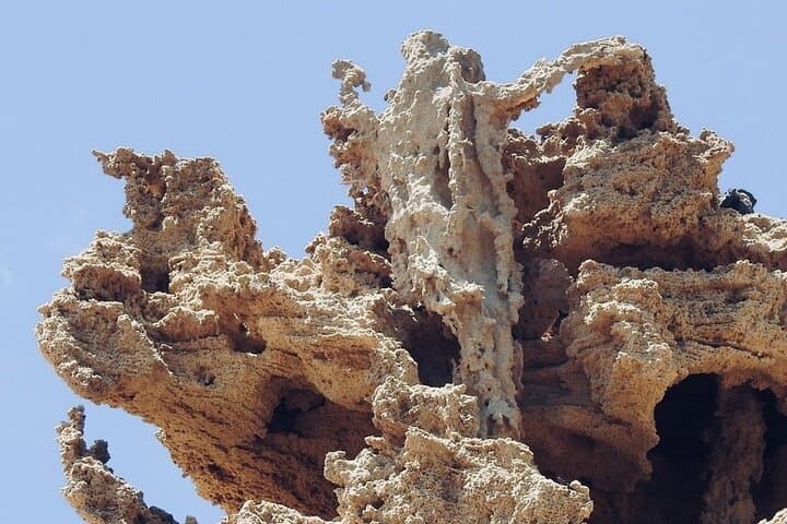 Porto Santo Photographic Island Tour — 4x4 Whole-Island Discovery photo 4