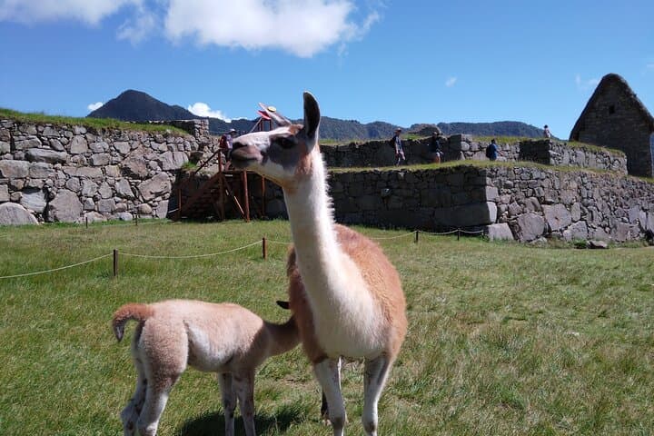 Private Machu Picchu Tour: Full-Day Guided Visit from Cusco photo 4