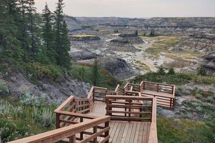 Drumheller Badlands Day Trip from Calgary — Royal Tyrrell, Hoodoos & Horseshoe Canyon photo 3