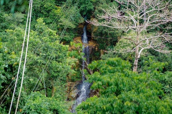 Koh Samui Jungle Zipline & Tree Bridge Cafe — Zipline with Waterfall Views photo 4