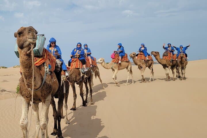 Essaouira 1-Hour Camel Ride on the Beach — Discovery Tour photo 2