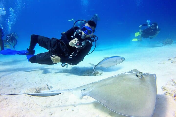 Mini Diving Course in San Andrés — Intro Scuba Experience (6–12 m) photo 4