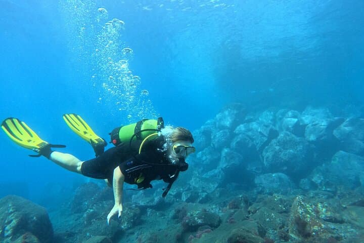First-Time Scuba Dive in Tenerife: Guided Intro with Photos & Certified Instructors photo 5