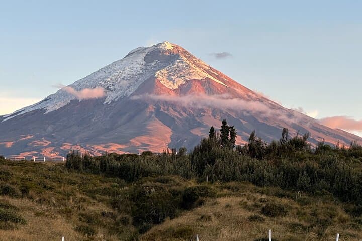 Cotopaxi Volcano Day Tour from Quito: Hike to José Rivas Refuge at High Altitude