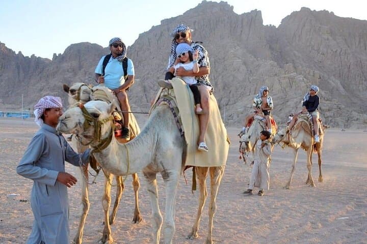 Sharm El Sheikh Desert Safari: Quad and Buggy Sunset Ride with Bedouin Dinner photo 2