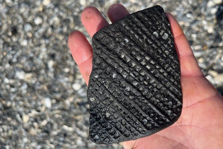 Folly Beach Fossil Hunting: Barrier Island Boat Drop-Off Excursion photo 4
