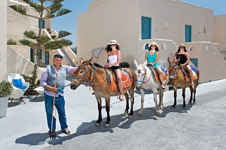 Santorini Horse and Donkey Ride Through Volcanic Landscapes photo 2