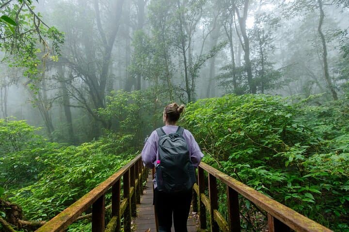 Doi Inthanon Kew Mae Pan Trail: Day Hike to Thailand's Highest Peak