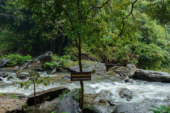 Doi Inthanon Kew Mae Pan Trail: Day Hike to Thailand's Highest Peak photo 6