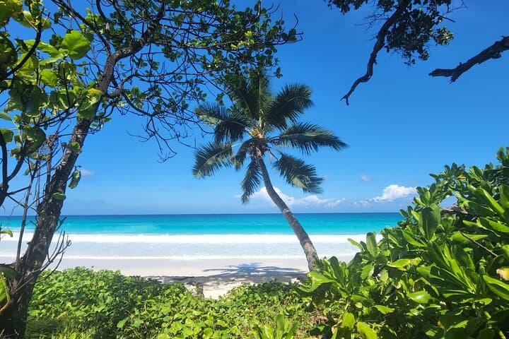 Hike Fond Ferdinand and Unwind at Anse Georgette — Praslin’s Viewpoints and Hidden Beach photo 6