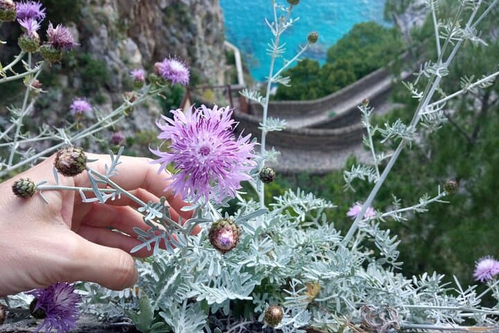 Capri Day Hike: Hidden Trails, Natural Arch & Piazzetta with a Local Guide photo 6