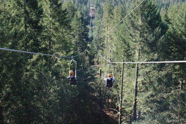 Big Zip Experience Over Sooke Basin — 2400-Foot Zipline Near Victoria
