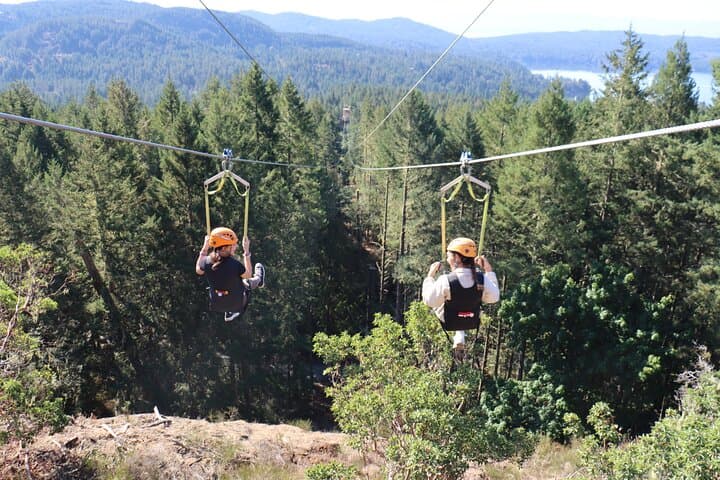 Big Zip Experience Over Sooke Basin — 2400-Foot Zipline Near Victoria photo 4