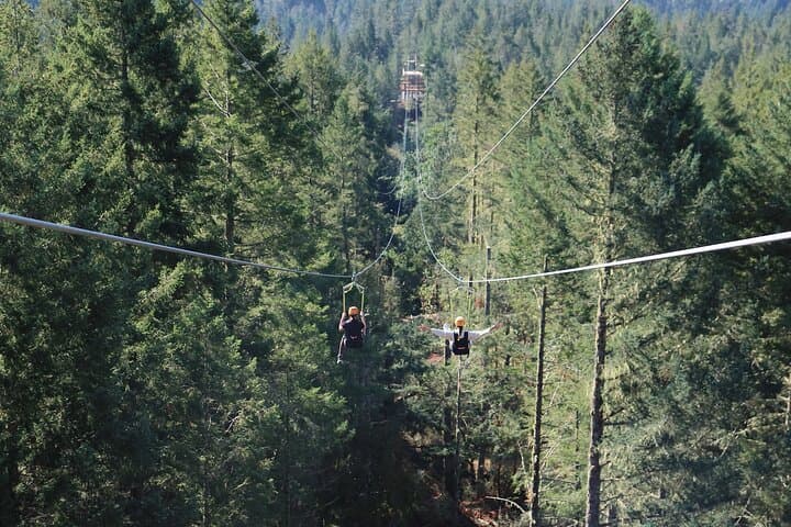 Big Zip Experience Over Sooke Basin — 2400-Foot Zipline Near Victoria photo 5