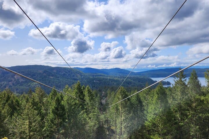 Big Zip Experience Over Sooke Basin — 2400-Foot Zipline Near Victoria photo 6