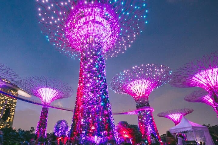 Explore Gardens by the Bay: Cloud Forest, Flower Dome & Garden Rhapsody photo 4