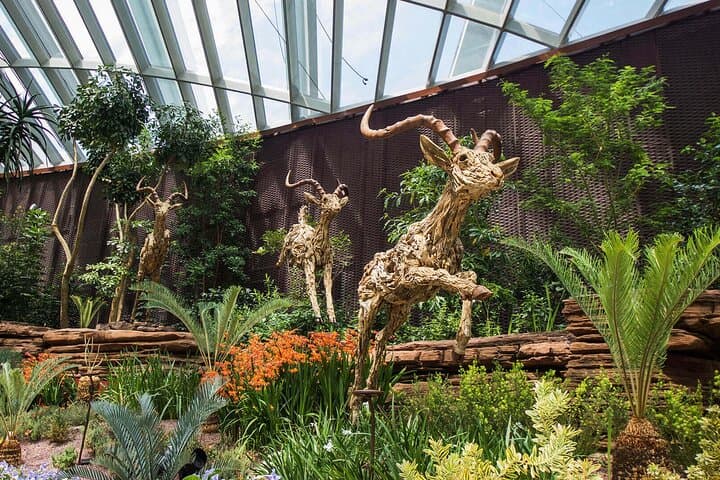 Explore Gardens by the Bay: Cloud Forest, Flower Dome & Garden Rhapsody