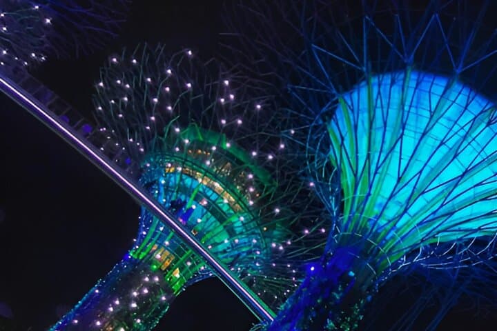 Explore Gardens by the Bay: Cloud Forest, Flower Dome & Garden Rhapsody photo 2