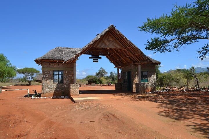 Volunteer at Lumo Wildlife Sanctuary: 14-Day Conservation Program from Nairobi photo 5