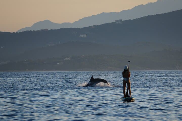 Stand-Up Paddle with Dolphins, Snorkel & Photos in Golfo Aranci