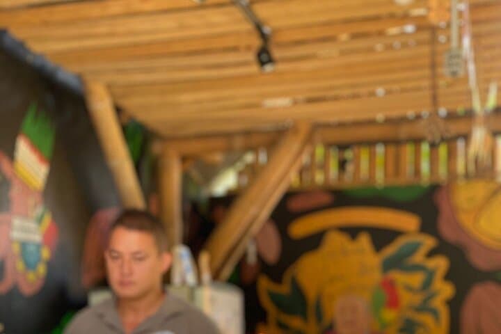 Medellín Chocolate Immersion: Cocoa Farm Day Trip & River Exfoliation photo 3