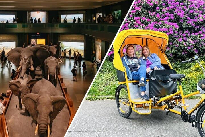 Pedicab Through Central Park: Guided Tour with Natural History Museum Entry