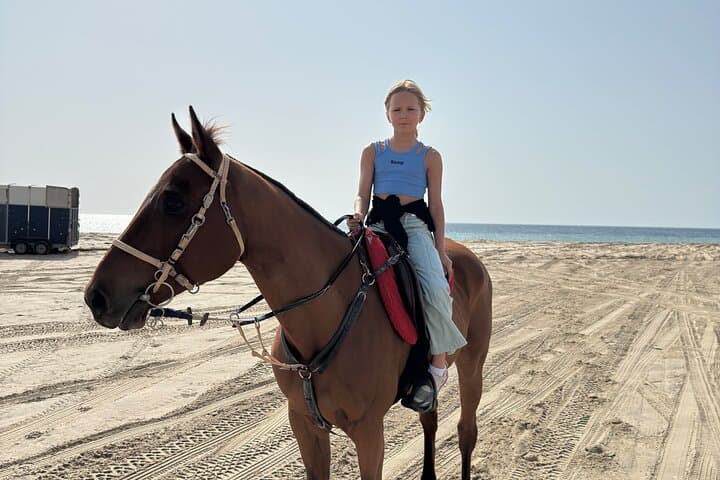 Doha Arabian Horse Riding: Desert Dune Equestrian Experience photo 3