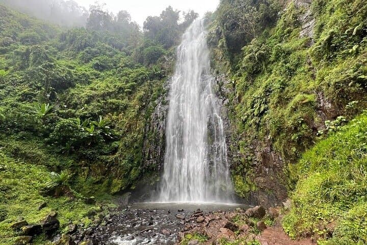 Materuni Waterfall Hike & Coffee Plantation — Half-Day Tour from Moshi photo 2