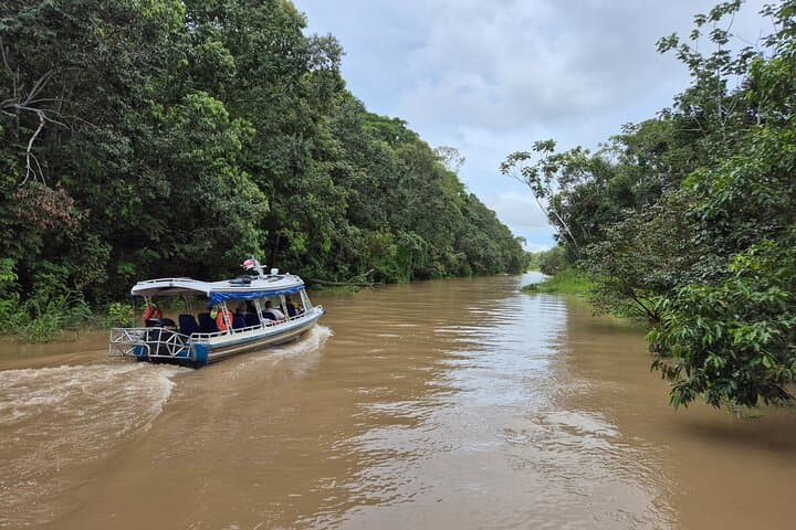 Full-Day Native Guide from Manaus to the Negro River & Anavilhanas Archipelago