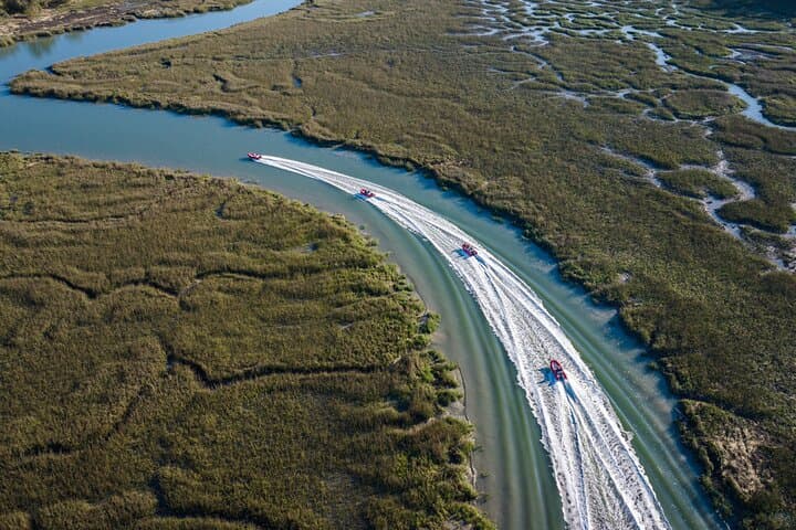 Hilton Head Sunset Dolphin Cruise: Mini-Boat Dolphin & Sightseeing Tour photo 3