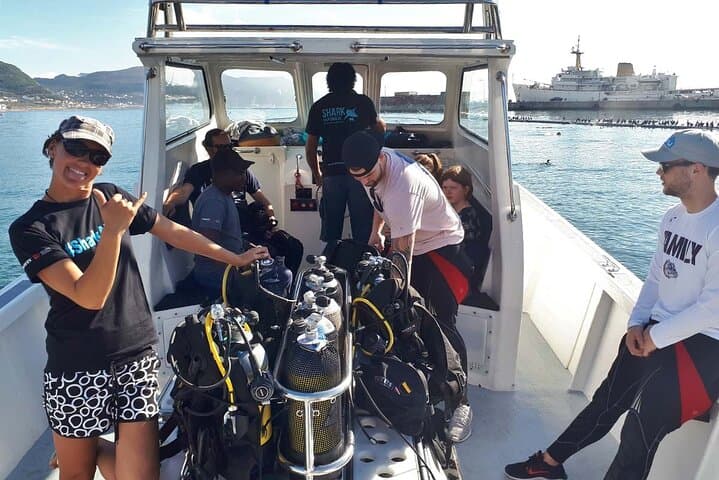 Cape Town Shark Cage Diving: Up-Close Great White Encounters
