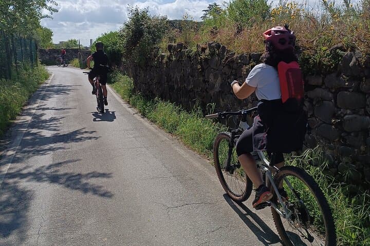 Mountain Biking the Pistoia Hills: Tuscan Trails from Lucca photo 6