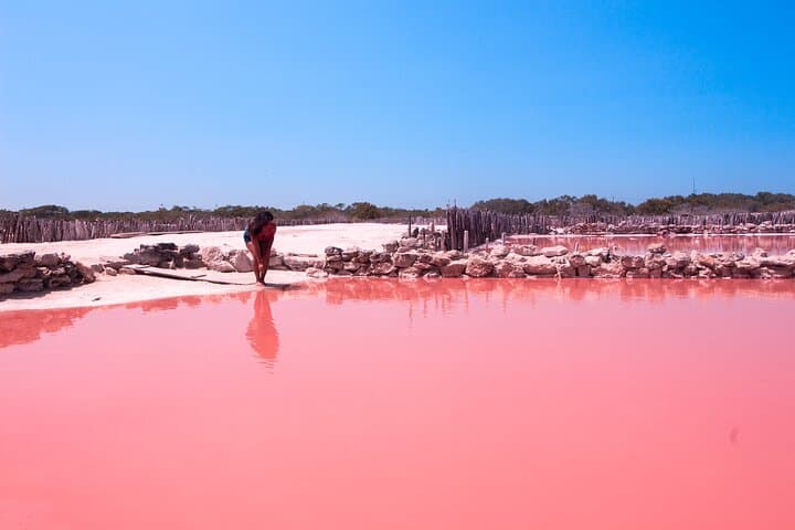 Progreso Pink Lagoon, Cenote & Salt Flats Day Trip from Merida photo 6