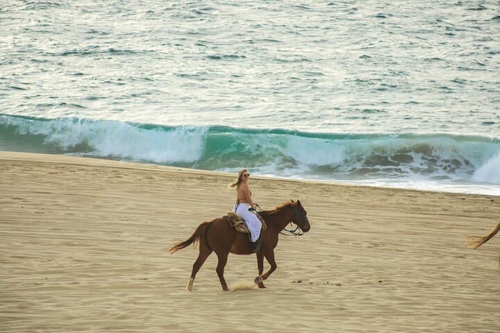 Cabo SXS & Migriño Beach Horseback Combo — Off‑Road Adventure and Oceanfront Ride photo 4