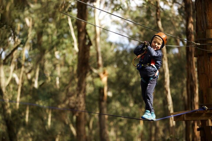 Junior Tree Ropes & Zipline Adventure at Lane Poole Reserve photo 6