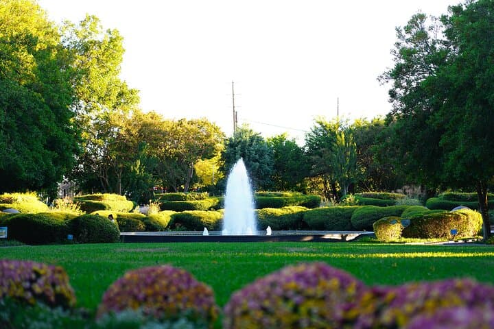 Explore Texas Discovery Gardens: Dallas Butterfly House & Native Plant Gardens