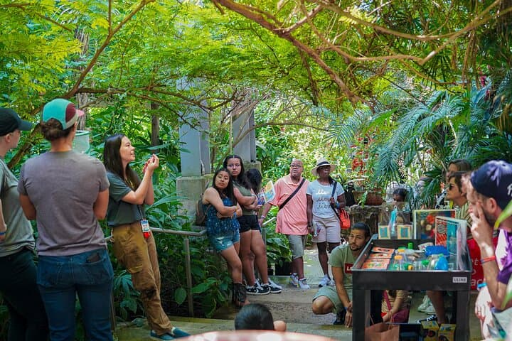 Explore Texas Discovery Gardens: Dallas Butterfly House & Native Plant Gardens photo 6