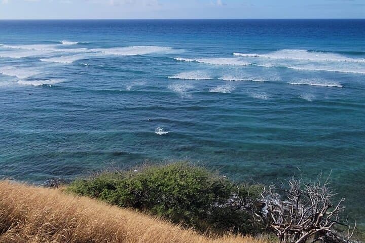 Spanish-Guided Circle-Island Adventure with Turtle Snorkeling on Oahu photo 6