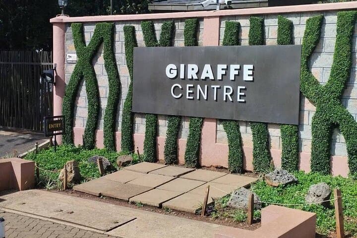 Exploring Nairobi: A Full-Day Safari and Cultural Experience photo 5