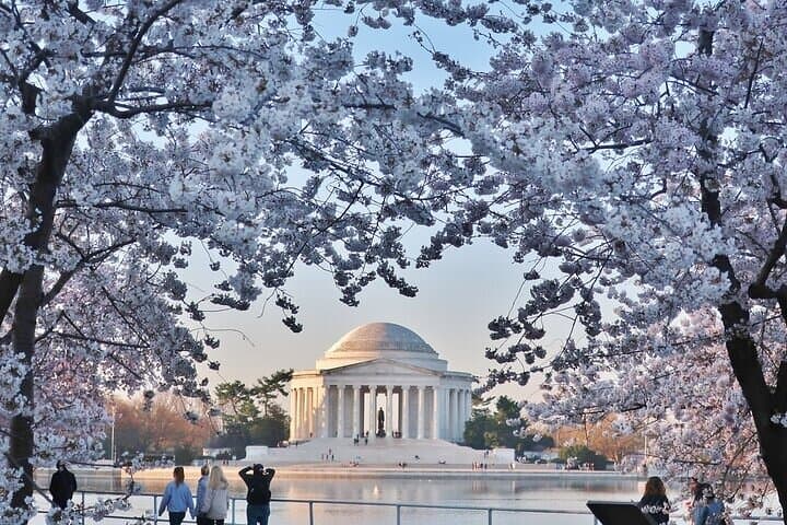 Private Washington DC Day Trip from New York City: Monuments, Museums & Arlington photo 4